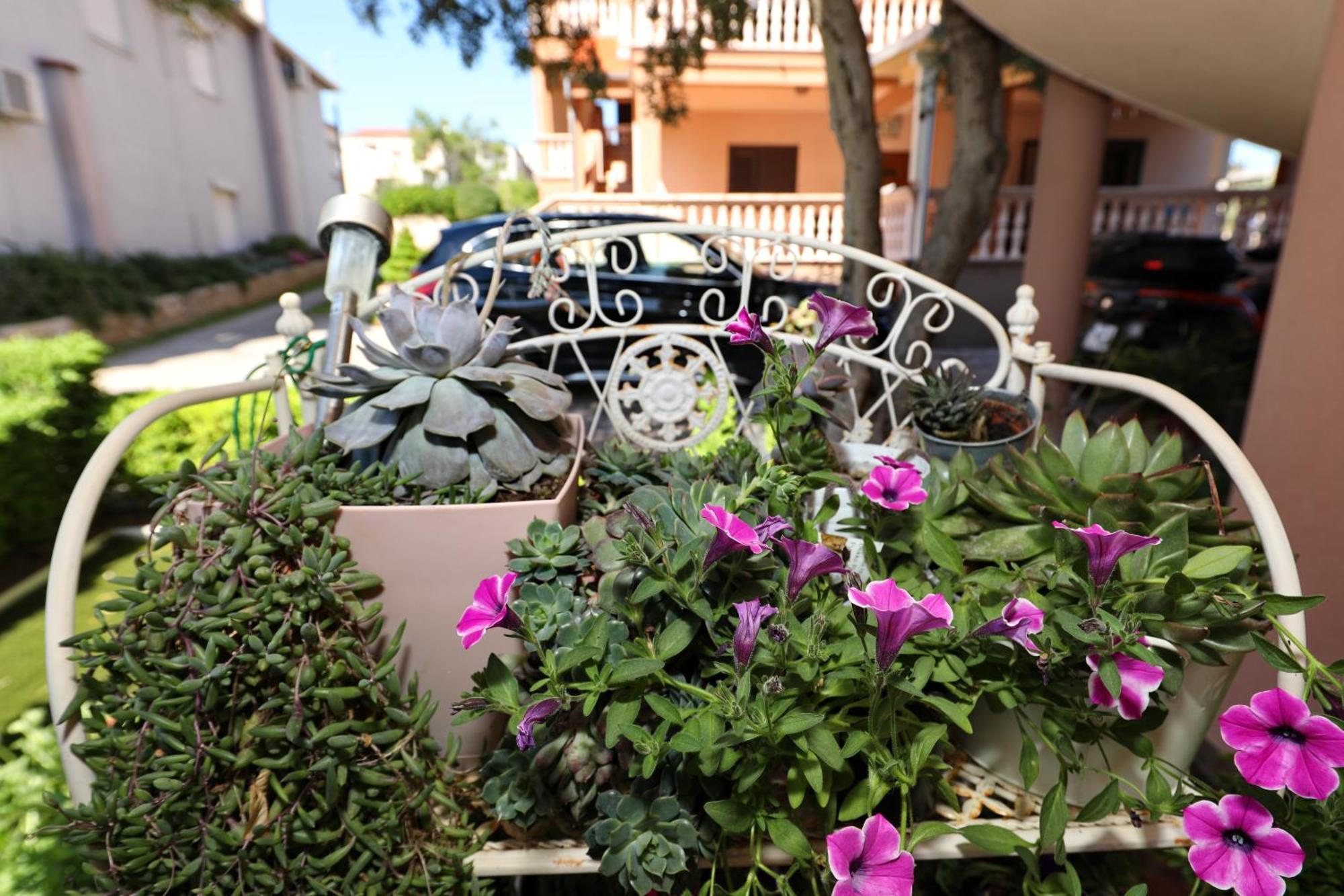 Villa Dalmatino Pakoštane エクステリア 写真